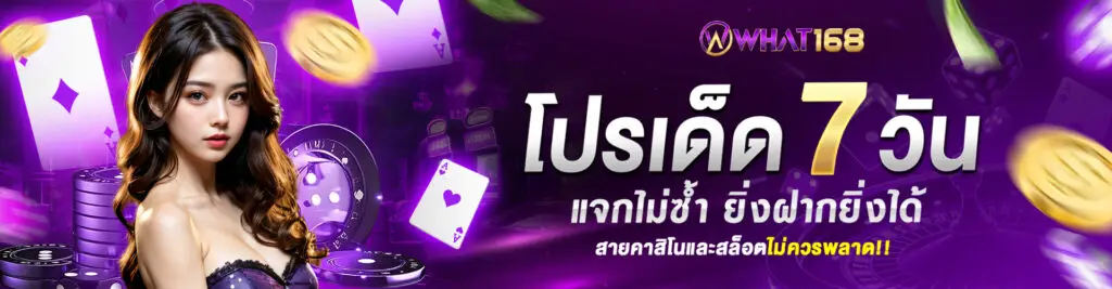 promotion banner4