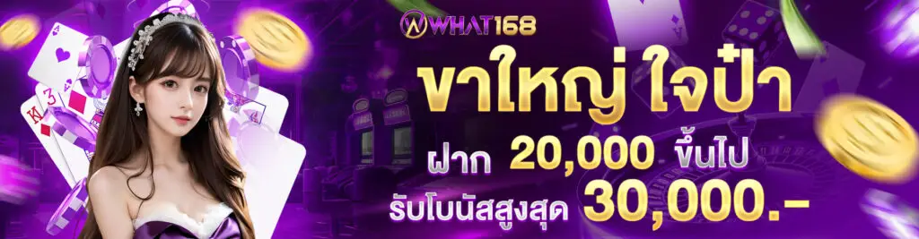 promotion banner2