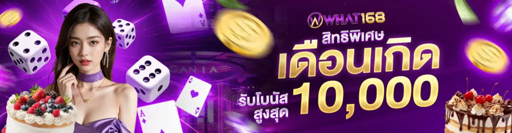 promotion banner5